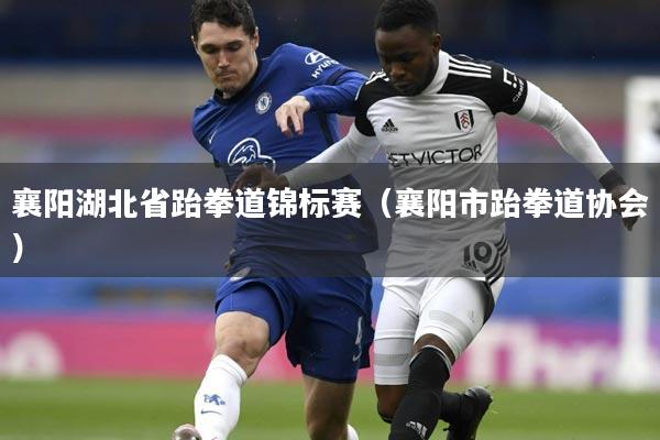 襄阳湖北省跆拳道锦标赛（襄阳市跆拳道协会）