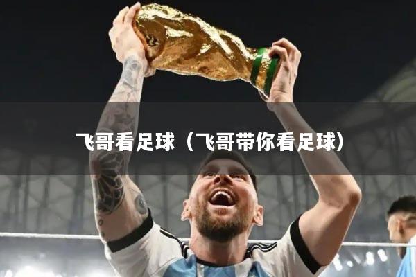 飞哥看足球（飞哥带你看足球）