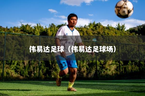 伟易达足球（伟易达足球场）
