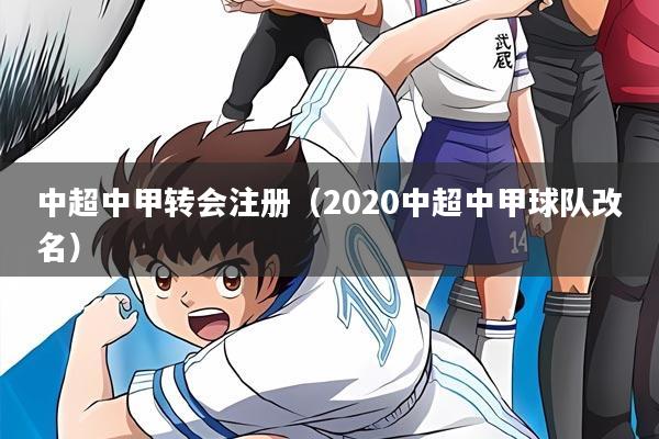 中超中甲转会注册（2020中超中甲球队改名）