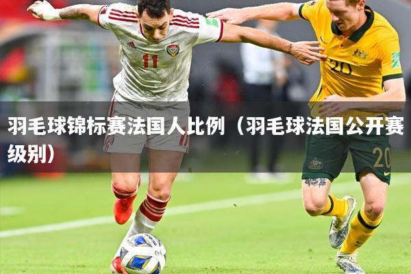 羽毛球锦标赛法国人比例（羽毛球法国公开赛级别）