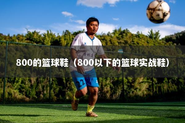 800的篮球鞋(800以下的篮球实战鞋)