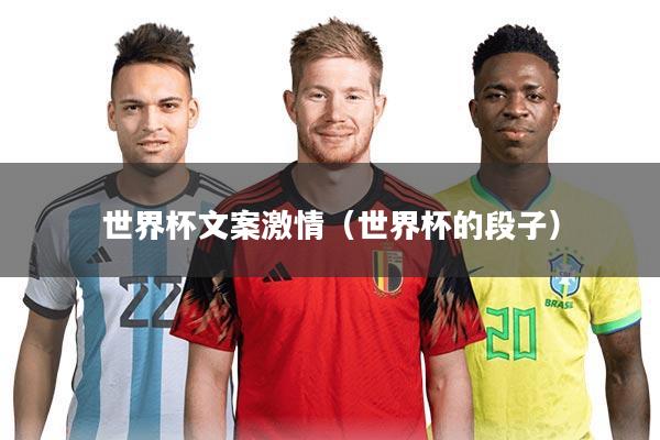 世界杯文案激情(世界杯的段子)