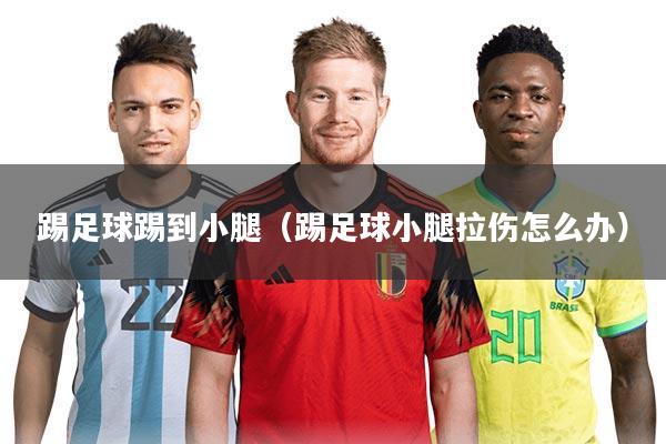 踢足球踢到小腿(踢足球小腿拉伤怎么办)