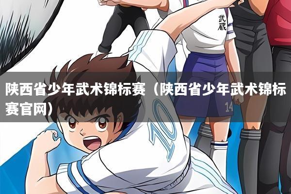 陕西省少年武术锦标赛(陕西省少年武术锦标赛官网)