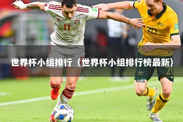 世界杯小组排行（世界杯小组排行榜最新）