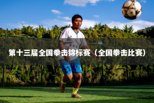 第十三届全国拳击锦标赛（全国拳击比赛）