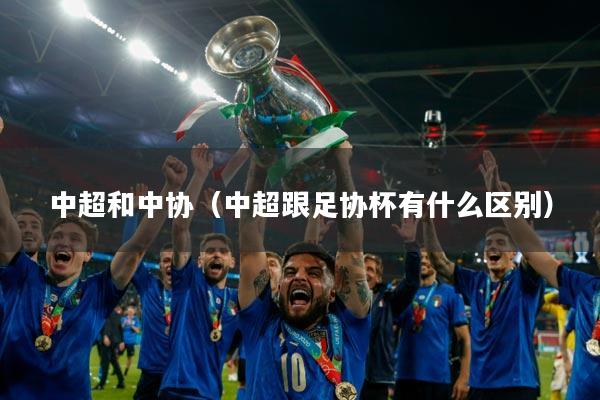详细阅读:中超和中协(中超跟足协杯有什么区别) 中超和中协(中超跟足协杯有什么区别)