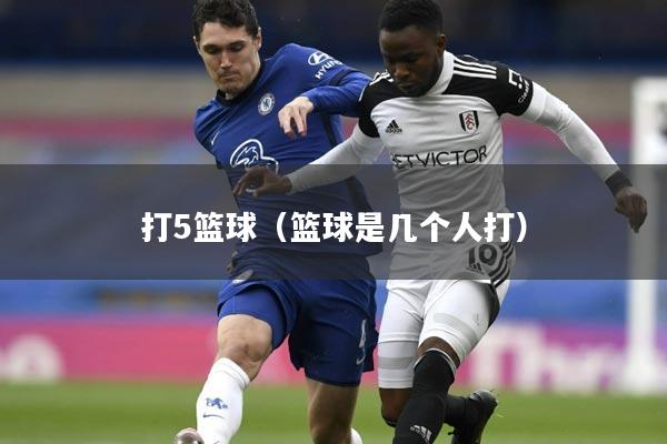 打5篮球（篮球是几个人打）