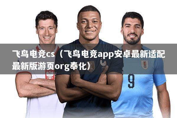 飞鸟电竞cs（飞鸟电竞app安卓最新适配最新版游页org奉化）