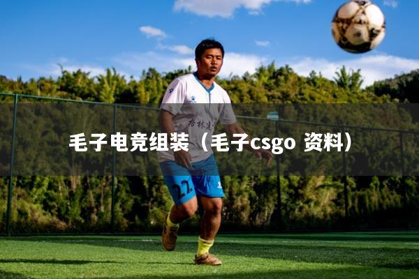 毛子电竞组装（毛子csgo 资料）