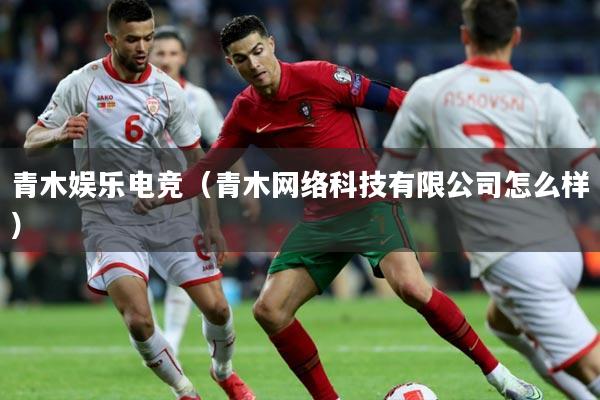 青木娱乐电竞（青木网络科技有限公司怎么样）