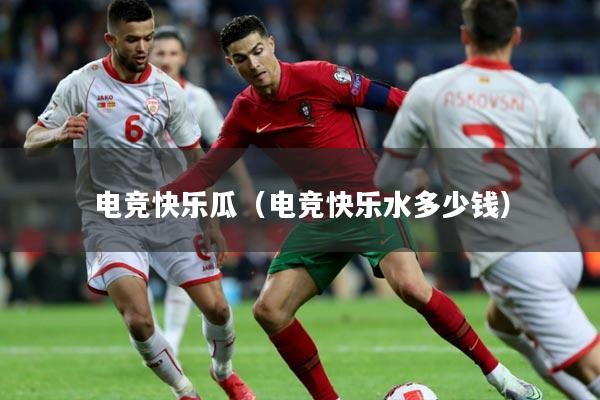电竞快乐瓜（电竞快乐水多少钱）