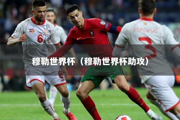 穆勒世界杯（穆勒世界杯助攻）