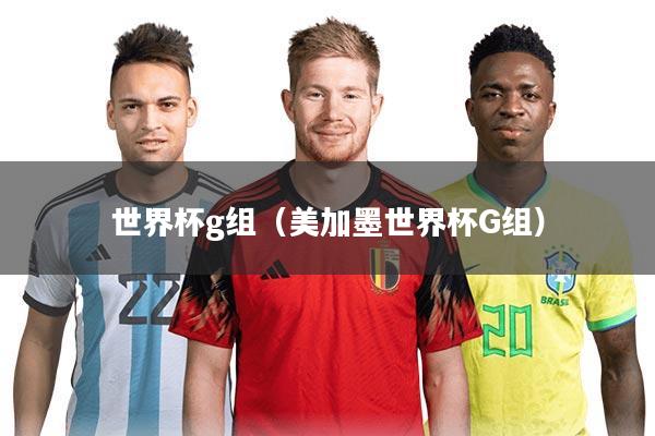 世界杯g组（美加墨世界杯G组）
