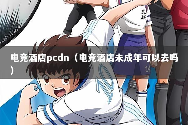 电竞酒店pcdn（电竞酒店未成年可以去吗）