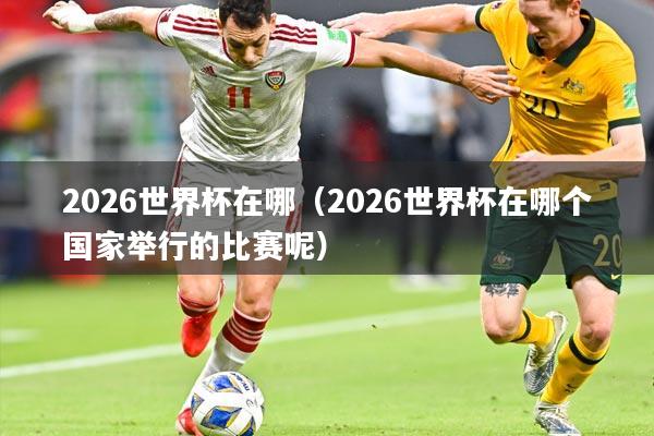 2026世界杯在哪（2026世界杯在哪个国家举行的比赛呢）