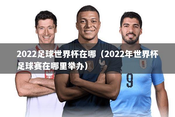 2022足球世界杯在哪（2022年世界杯足球赛在哪里举办）