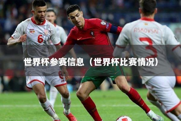 世界杯参赛信息（世界杯比赛情况）